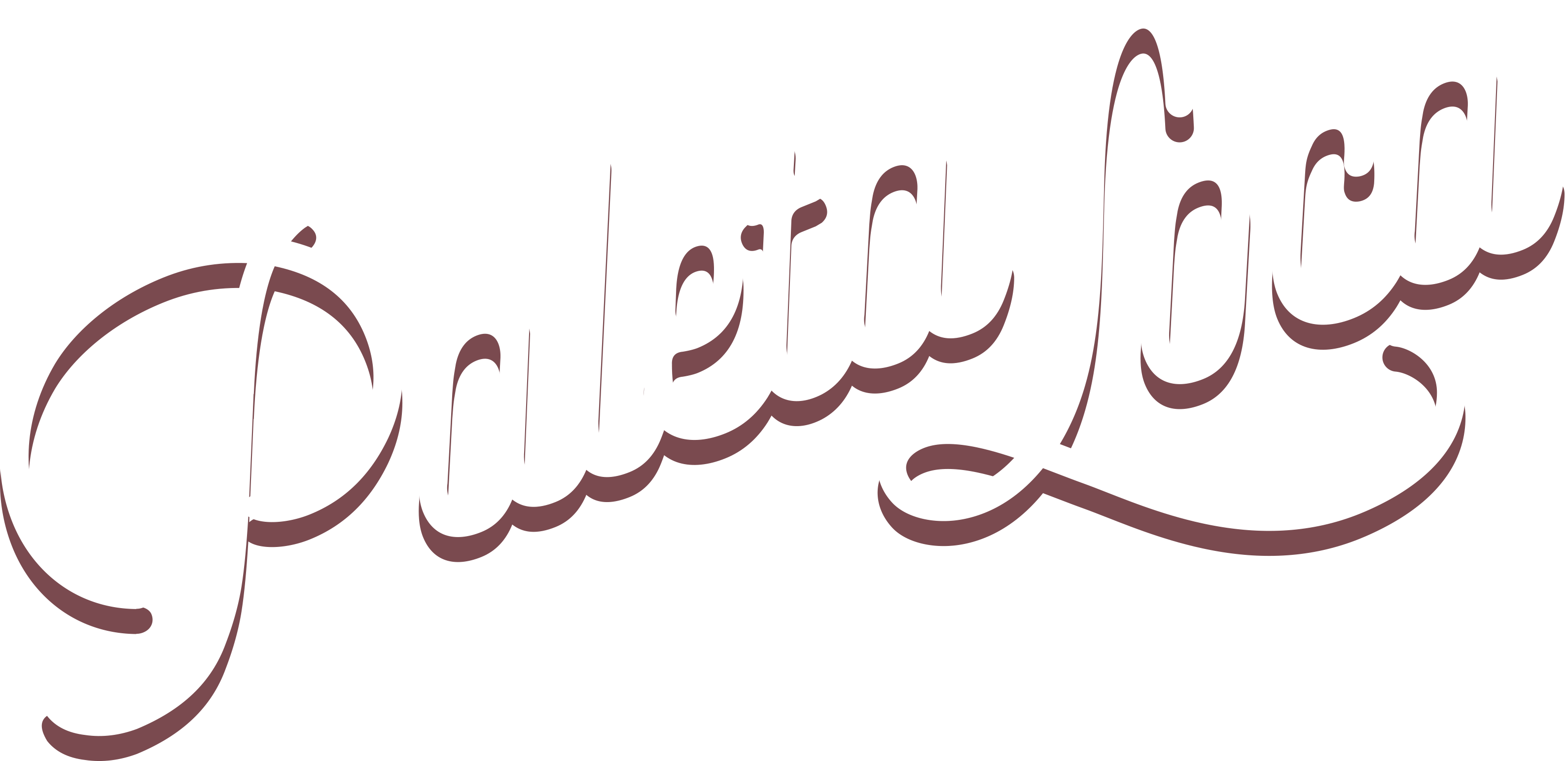 Paleta Loca